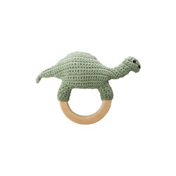 Heklet Rangle Dino på trering, Sebra