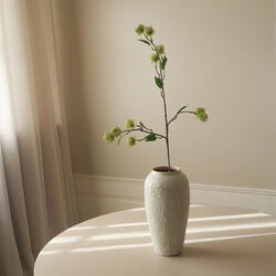 Hamamelis Branch, grønn, Botané