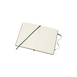 Classic Notebook prikkete sider, grønn, Moleskine