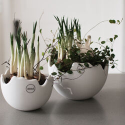 HAPPY EASTER sk&aring;l large, white, DBKD