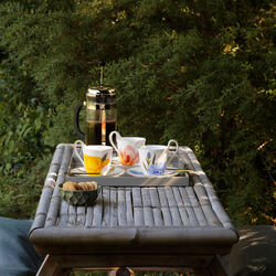 Flora h&oslash;yhankskopp, tulipan, Royal Copenhagen