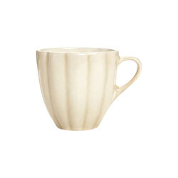 Oyster krus, sand, Mateus