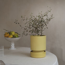 Hoff GLAZED potte, pale yellow, Bergs Potter