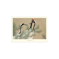 Cranes from Momoyogusa 30x40 cm, Poster & Frame