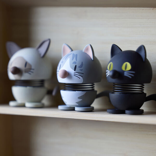 Maine Coon, grey, Hoptimist