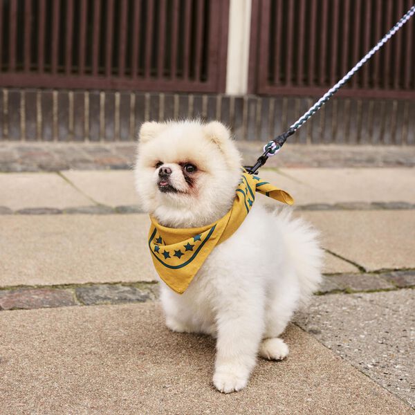 HAY Dogs Skjerf, ochre, HAY