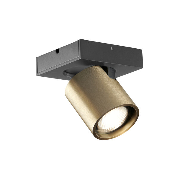 FOCUS 1 Ceiling Spotlight, brass, LIGHT-POINT