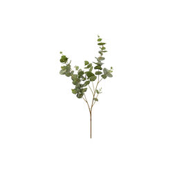 EUKALYPTUS KLOKKE-GREN, gr&oslash;nn, Enzo de Gasperi