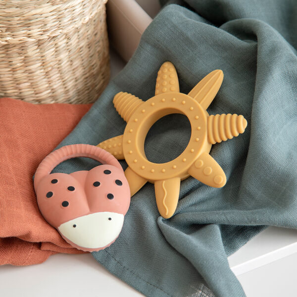 Mariehønen Luca bitering, Sebra