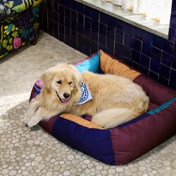 HAY Dogs Seng, burgundy/green, HAY