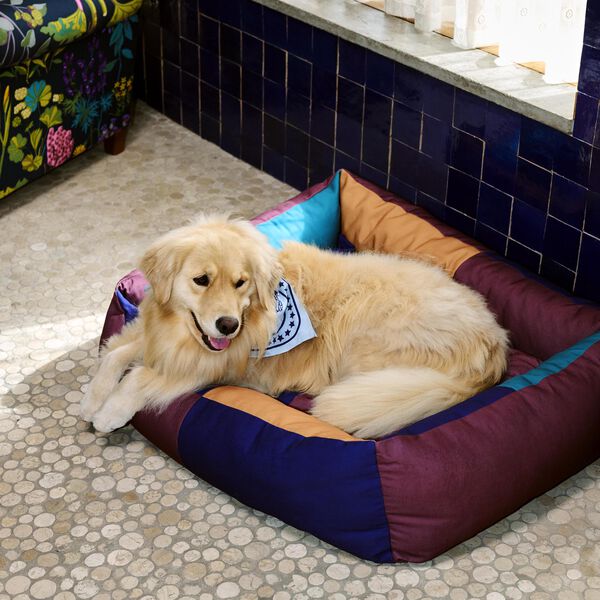 HAY Dogs Seng, burgundy/green, HAY