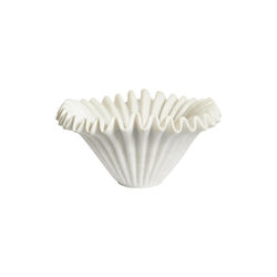 Anemone sk&aring;l, white, Jakobsdals