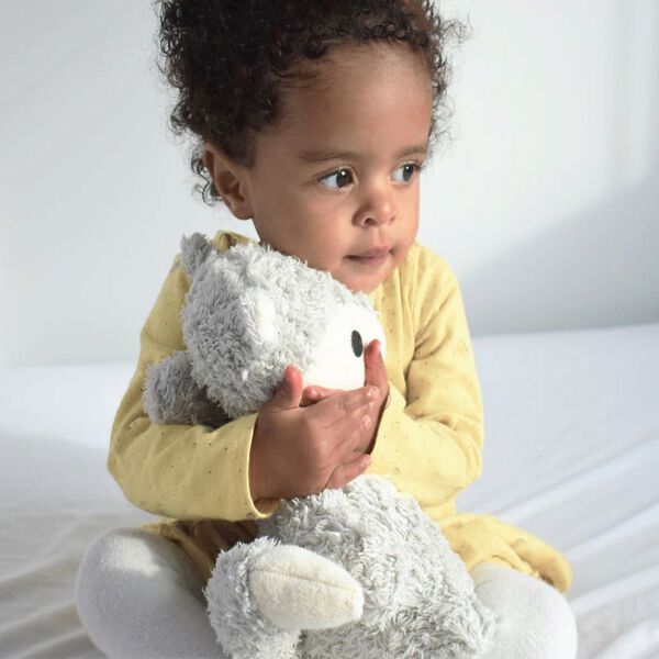 Mikkel rev, Franck & Fischer