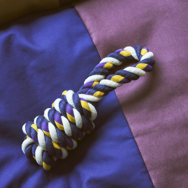 HAY Dogs Strikkleketøy, blue/purple/ochre, HAY