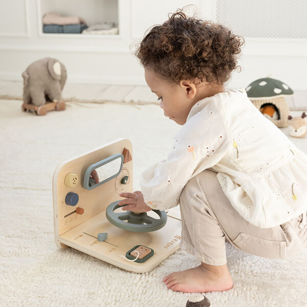 Bilaktivitetspanel, Sebra