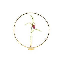 Gloria lysestake, liten, Klong