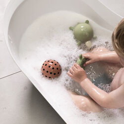 Skilpadde badeleket&oslash;y, Sebra