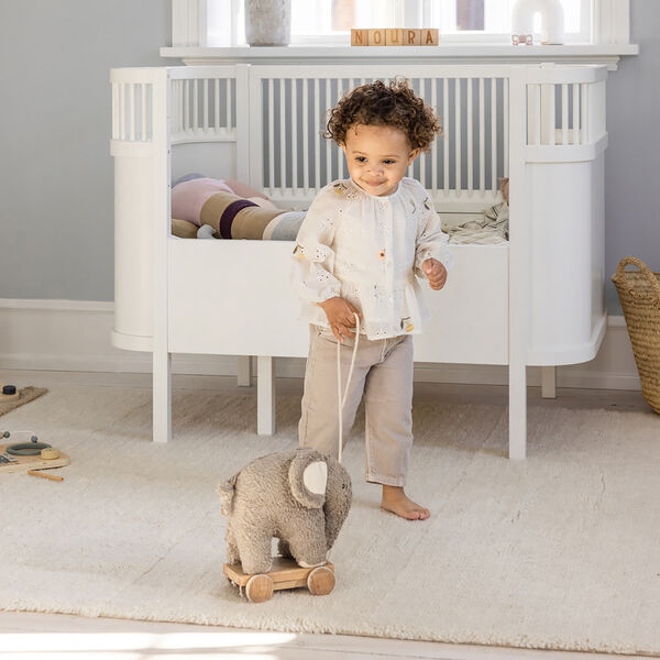 Fanto trekkdyr, grey, Sebra