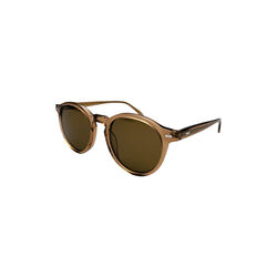 Jasper solbriller, caramel, Frank Walton