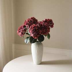 Hydrangea blomst, burgunder, Botané