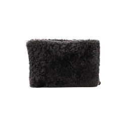 Ally Clutch, carbon, Shepherd of Sweden