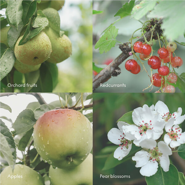 FJORD Wash Refill, Skandinavisk