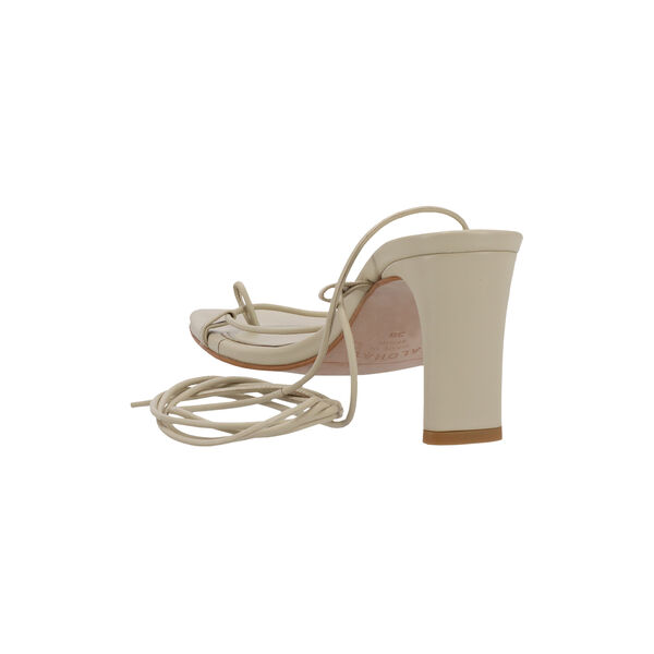 Bellini Ivory Bellini Ivory, ALOHAS