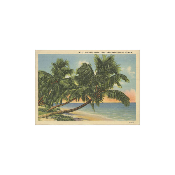 Florida Postcard III 30x40 cm, Poster & Frame