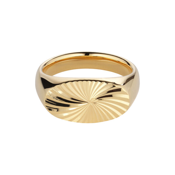 Reflection Signet ring, gull, Jane K&oslash;nig