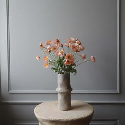 Poppy blomst, korall, Botané