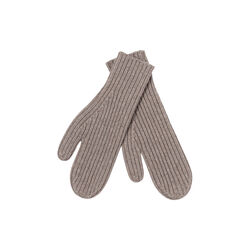 Avignon Votter, wheat, FWSS