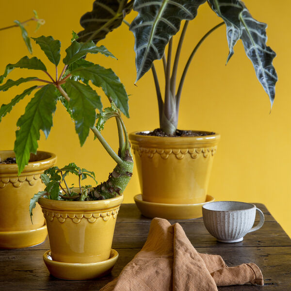 Københavner GLAZED krukke med underfat, amber yellow, Bergs Potter