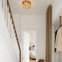 Apiales 7 Plafond, brushed brass/optic gold, Nuura