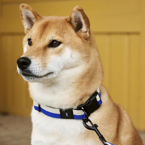 HAY Dogs Halsbånd Flat, blue/off-white, HAY