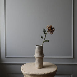 Semi-Cactus Dahlia blomst, brun, Botané