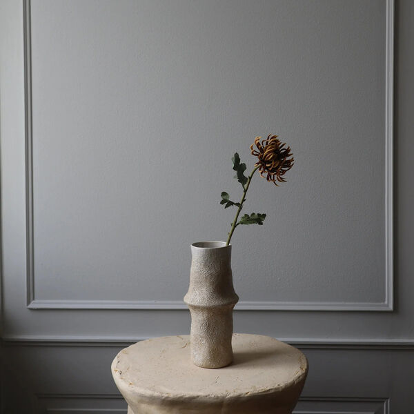 Semi-Cactus Dahlia blomst, brun, Botané