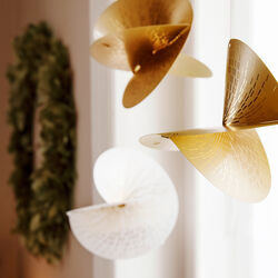 Stor stjerne Illums, gullfarget Stor stjerne Illums, gullfarget, Kreftforeningen