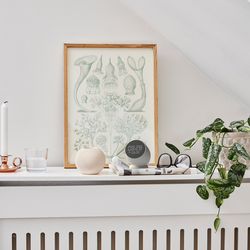 Bell Alarm Clock med h&oslash;yttaler, Kreafunk