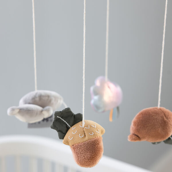 Woodland musik- og speiluro, Sebra