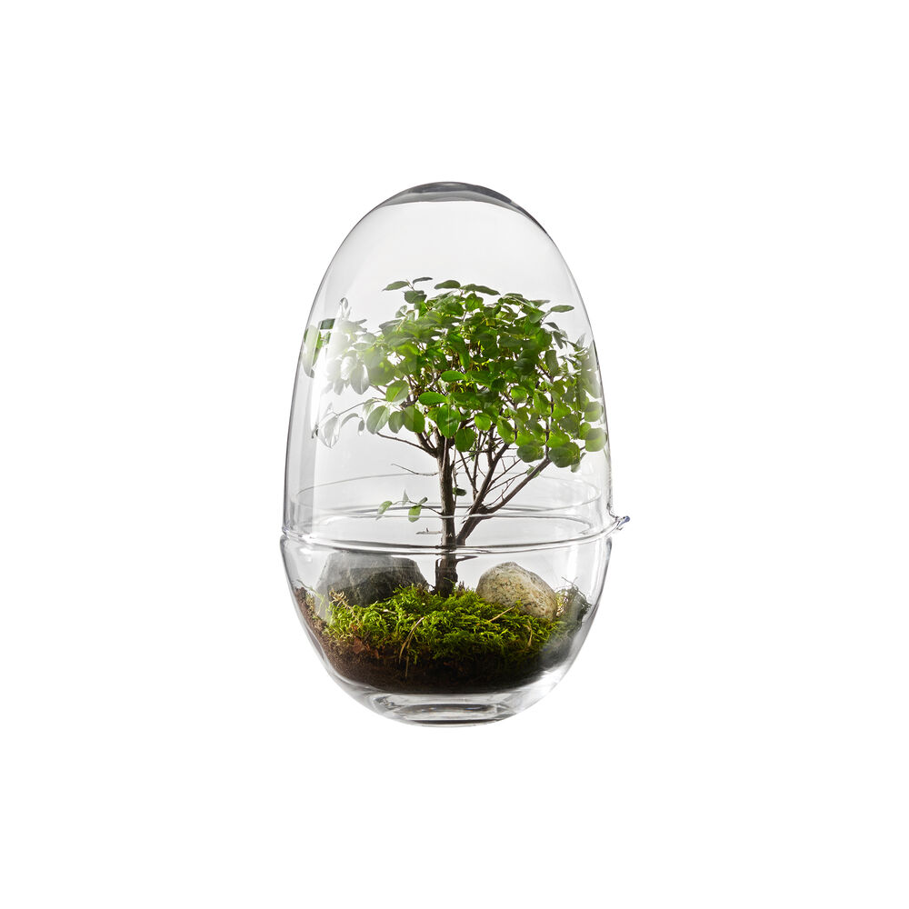 illumsbolighus.no | Grow drivhus