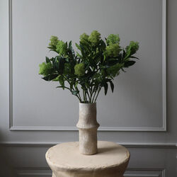 Skimmia Berry Branch, grønn, Botané