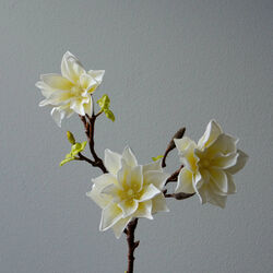 Lily Magnolia Branch, hvit, Botan&eacute;