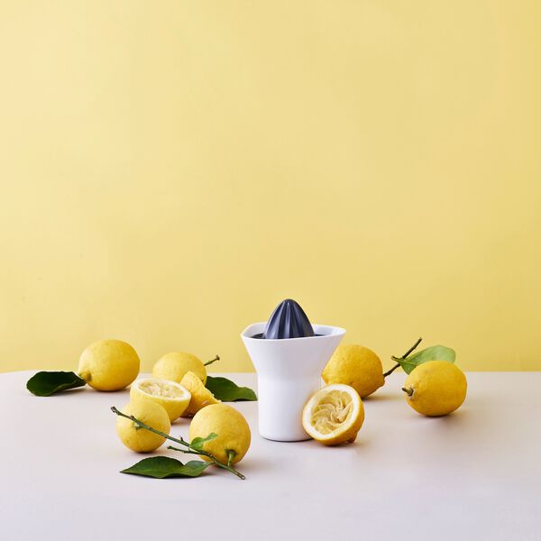 Sitruspresse, hvit/grå Sitruspresse, hvit/grå, RIG-TIG