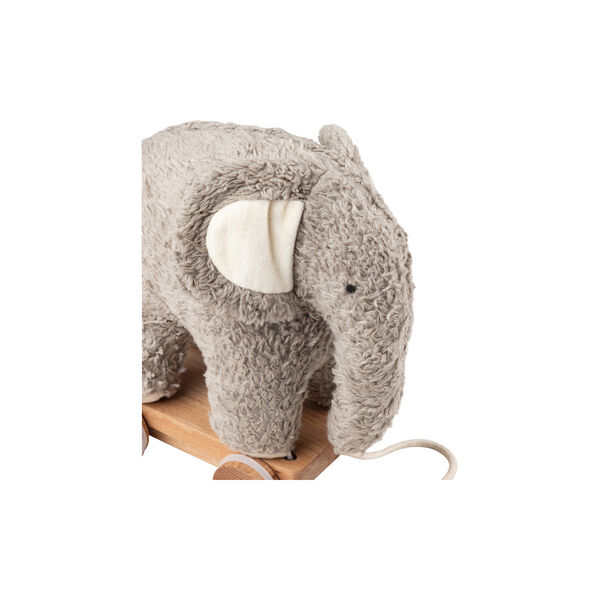 Fanto trekkdyr, grey, Sebra