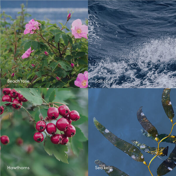 HAV Wash Refill, Skandinavisk