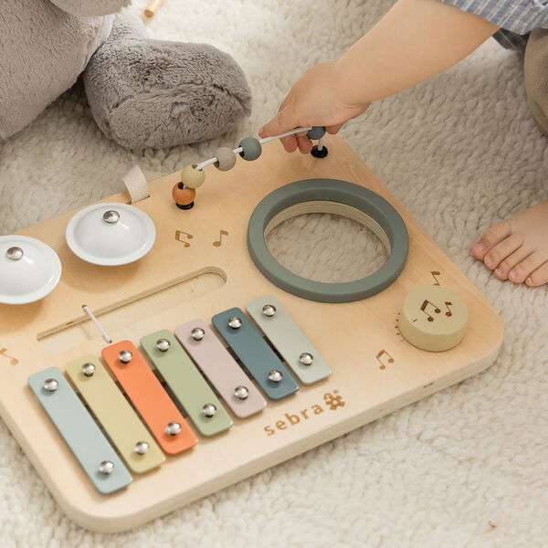 Musikkaktivitetspanel, Sebra