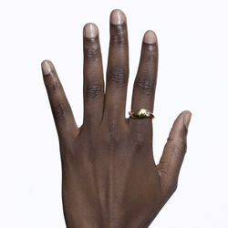 Dolphin Ring, gull, Maria Black