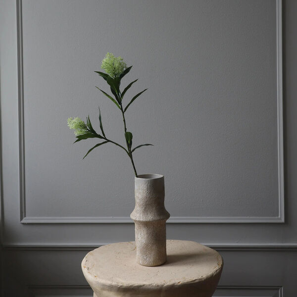 Skimmia Berry Branch, hvit, Botané