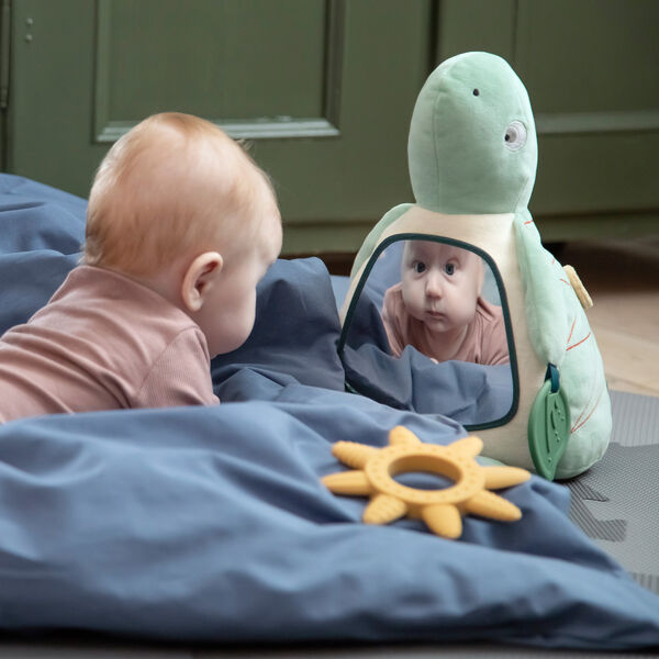 Skildpadden Turbo aktivitetsleke, Sebra