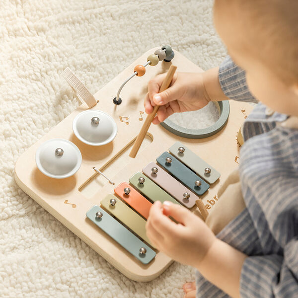 Musikkaktivitetspanel, Sebra